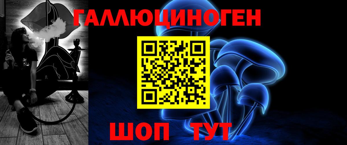 Зеленодольск  Псилоцибиновые грибы Psilocybine cubensis  Вход с VPN 