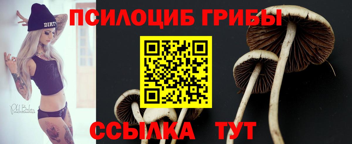 Галлюциногенные грибы прущие грибы Зеленодольск